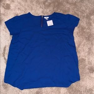 Blue Marisol Sheer Top